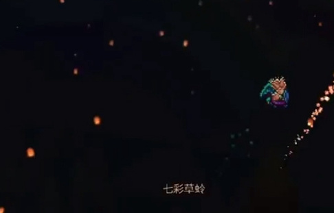 泰拉瑞亚七彩草蛉出现条件-七彩草蛉作用与出现条件